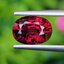 พลอย โรโดไลต์ กาเน็ท Rhodolite Garnet 2.68 กะรัต Cts.พลอยแท้ อัญมณีมงคลประจําวันเกิด เครื่องประดับพลอย