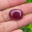 พลอย ทับทิม (Ruby Sapphire) 24.73 กะรัต (Cts.) พลอยแท้ อัญมณีมงคลประจําวันเกิด เครื่องประดับพลอย