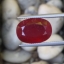 พลอย ทับทิม Ruby sapphire 12.50 กะรัต (Cts.) พลอยแท้ อัญมณีมงคลประจําวันเกิด เครื่องประดับพลอย