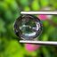 พลอย สปิเนล พม่า Spinel Myanmar 2.60 กะรัต (Cts.) พลอยแท้ อัญมณีมงคลประจําวันเกิด เครื่องประดับพลอย