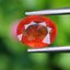 พลอย บุษราคัม Yellow Sapphire 1.46 กะรัต (Cts.) พลอยแท้ อัญมณีมงคลประจําวันเกิด เครื่องประดับพลอย