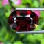 พลอย โกเมน Pyrope - Almandite Garnet 9.33 กะรัต (Cts.) พร้อมใบเซอร์ พลอยแท้ อัญมณีมงคลประจําวันเกิด เครื่องประดับพลอย
