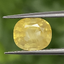 พลอย บุษราคัม Yellow Sapphire 3.56 กะรัต (Cts.) VVS พลอยแท้ อัญมณีมงคลประจําวันเกิด เครื่องประดับพลอย