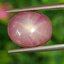 พลอย ทับทิม สตาร์ แซฟไฟร์ Ruby Star Sapphire 10.76 กะรัต (Cts.) พลอยแท้ อัญมณีมงคลประจําวันเกิด เครื่องประดับพลอย