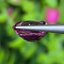 พลอย มาลายา การ์เน็ต Malaya Garnet 2.83 กะรัต (Cts.) ดิบ Unheated พร้อมใบเซอร์ พลอยแท้ อัญมณีมงคลประจําวันเกิด เครื่องประดับพลอย