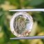 ไหมทอง ควอตซ์ Golden Rutilated Quartz 10.48 กะรัต Cts.พลอยแท้ อัญมณีมงคลประจําวันเกิด เครื่องประดับพลอย
