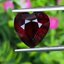 พลอย โกเมน Pyrope - Almandite Garnet 8.73 กะรัต (Cts.) พลอยแท้ อัญมณีมงคลประจําวันเกิด เครื่องประดับพลอย