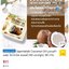 5 PV. UGENTALAB COCONUT OIL น้ำมันมะพร้าวสกัดเย็น 40 CAPSULES