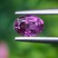 พลอย ม่วง แซฟไฟร์ Violet Purple Sapphire ดิบ Unheated 0.90 กะรัต (Cts.) พลอยแท้ อัญมณีมงคลประจําวันเกิด เครื่องประดับพลอย