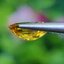 พลอย บุษราคัม yellow sapphire 1.00 กะรัต (Cts.) พลอยแท้ อัญมณีมงคลประจําวันเกิด เครื่องประดับพลอย