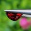 พลอย โรโดไลต์ กาเน็ท Rhodolite Garnet 2.44 กะรัต Cts.พลอยแท้ อัญมณีมงคลประจําวันเกิด เครื่องประดับพลอย