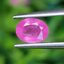 พลอย ชมพู พิ้ง แซฟไฟร์ Pink Sapphire 1.07 กะรัต (Cts.) พลอยแท้ อัญมณีมงคลประจําวันเกิด เครื่องประดับพลอย
