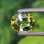 พลอย ทัวร์มาลีน Tourmaline 1.41 กะรัต (Cts.) พลอยแท้อัญมณีมงคล ประจําวันเกิด เครื่องประดับพลอย