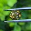 พลอย บุษราคัม yellow sapphire 1.20 กะรัต (Cts.) ดิบ Unheated พลอยแท้ อัญมณีมงคลประจําวันเกิด เครื่องประดับพลอย