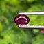 พลอย ทับทิม สยาม Siam Ruby sapphire 0.71 กะรัต พลอยแท้ อัญมณีมงคลประจําวันเกิด เครื่องประดับพลอย