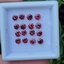 พลอย ทับทิม สยาม Siam Ruby sapphire 16 เม็ด 2.01 กะรัต (Cts.) ดิบ (Unheated) พลอยแท้ อัญมณีมงคลประจําวันเกิด เครื่องประดับพลอย