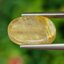ไหมทอง ควอตซ์ Golden Rutilated Quartz 6.38 กะรัต Cts.พลอยแท้ อัญมณีมงคลประจําวันเกิด เครื่องประดับพลอย
