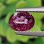 พลอย ทับทิม สยาม Siam Ruby sapphire 0.84 กะรัต ดิบ (Unheated) พร้อมใบเซอร์ (With Certificate) พลอยแท้ อัญมณีมงคลประจําวันเกิด เครื่องประดับพลอย