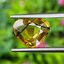 พลอย บุษราคัม yellow sapphire 3.92 กะรัต พลอยแท้ อัญมณีมงคลประจําวันเกิด เครื่องประดับพลอย