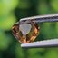 พลอย อเล็กซานไดร์ (Natural Alexandrite Chrysoberyl) 1.60 กะรัต (Cts.) ดิบ (Unheated) พร้อมใบเซอร์ พลอยแท้ อัญมณีมงคลประจําวันเกิด เครื่องประดับพลอย