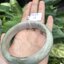 หยก พม่า แท้ Jade กำไลหยก 58 มม. (Jade bracelet) พม่า (Myanmar)