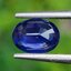 พลอย ไพลิน Blue Sapphire 0.90 กะรัต (Cts.) พลอยแท้ อัญมณีมงคลประจําวันเกิด เครื่องประดับพลอย