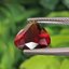 พลอย เฮลโซไนท์ การ์เน็ท Hessonite Garnet 4.05 กะรัต (Cts.) พลอยแท้อัญมณีมงคล ประจําวันเกิด เครื่องประดับพลอย