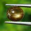 พลอย โกลเด้น สตาร์ แซฟไฟร์ Golden Star Sapphire 1.47 กะรัต (Cts.) ดิบ Unheated พร้อมใบเซอร์ พลอยแท้ อัญมณีมงคลประจําวันเกิด เครื่องประดับพลอย