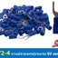 SV5.5-4 สีน้ำเงิน หางปลาแฉก หางปลาหุ้มฉนวน เทอร์มินอล หางปลาย้ำสายไฟ หางปลาวาย หางปลาแฉกหุ้ม หางปลาแฉก หางปลา แฉกหุ้ม หางปลาต่อสาย ขั้วต่อสายไฟ หางปลาก้ามปู หางปลา