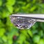 พลอย คุนไซท์ Kunzite 9.05 กะรัต (Cts.) พลอยแท้อัญมณีมงคล ประจําวันเกิด เครื่องประดับพลอย