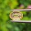 พลอย บุษราคัม yellow sapphire 1.11 กะรัต พลอยแท้ อัญมณีมงคลประจําวันเกิด เครื่องประดับพลอย