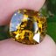 พลอย ทัวร์มาลีน Tourmaline 10.495 กะรัต (Cts.)