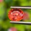พลอย ออเรนจ์ แซฟไฟร์ Orange Sapphire 1.29 กะรัต (Cts.) พลอยแท้ อัญมณีมงคลประจําวันเกิด เครื่องประดับพลอย