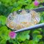 โป่งข่าม ควอตซ์ Rutilated Quartz 41.83 กะรัต Cts. พลอยแท้ อัญมณีมงคลประจําวันเกิด เครื่องประดับพลอย