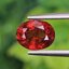พลอย สเปสซาร์ไทต์ Spessartite Garnet 1.44 กะรัต Cts.พลอยแท้ อัญมณีมงคลประจําวันเกิด เครื่องประดับพลอย