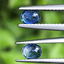 พลอย ไพลิน Blue Sapphire 1.01 กะรัต (Cts.) 2 เม็ด (Pcs.) พลอยแท้ อัญมณีมงคลประจําวันเกิด เครื่องประดับพลอย