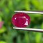 พลอย ทับทิม พม่า (Burmese Ruby Sapphire) 1.40 กะรัต พลอยแท้ อัญมณีมงคลประจําวันเกิด เครื่องประดับพลอย