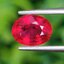 พลอย ทับทิม (Ruby Sapphire) 1.83 กะรัต (Cts.) พลอยแท้ อัญมณีมงคลประจําวันเกิด เครื่องประดับพลอย