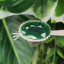 หยก พม่า แท้ Jade แหวนหยก 翡翠戒指 (Jadeite ring) ดิบ (Size) 58 ไม่ผ่านการปรับปรุง (Type A) พม่า (Myanmar)