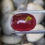 พลอย ทับทิม Ruby sapphire 12.50 กะรัต (Cts.) พลอยแท้ อัญมณีมงคลประจําวันเกิด เครื่องประดับพลอย