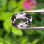 พลอย สปิเนล Spinel 1.50 กะรัต (Cts.) พลอยแท้ อัญมณีมงคลประจําวันเกิด เครื่องประดับพลอย