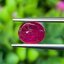 พลอย ทับทิม พม่า (Burmese Ruby Sapphire) 1.62 กะรัต พลอยแท้ อัญมณีมงคลประจําวันเกิด เครื่องประดับพลอย