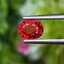 พลอย ทับทิม ซองเจีย Songea Ruby Sapphire 0.99 กะรัต (Cts.) พลอยแท้ อัญมณีมงคลประจําวันเกิด เครื่องประดับพลอย