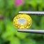 พลอย บุษราคัม Yellow Sapphire 1.43 กะรัต (Cts.) พลอยแท้ อัญมณีมงคลประจําวันเกิด เครื่องประดับพลอย