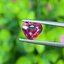 พลอย ทับทิม Ruby sapphire ดิบ1.07 กะรัต (Cts.) พลอยแท้ อัญมณีมงคลประจําวันเกิด เครื่องประดับพลอย