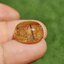 ไหมทอง ควอตซ์ Golden Rutilated Quartz 17.12 กะรัต Cts.พลอยแท้ อัญมณีมงคลประจําวันเกิด เครื่องประดับพลอย