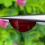 พลอย ทับทิม (Ruby Sapphire) 11.69 กะรัต (Cts.) พลอยแท้ อัญมณีมงคลประจําวันเกิด เครื่องประดับพลอย
