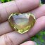 พลอย เลมอนควอตซ์ Lemon Quartz 30.84 กะรัต (Cts.)