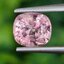 พลอย สปิเนล (Spinel) 1.59 กะรัต (Cts.) ดิบ (Unheated) พลอยแท้ อัญมณีมงคลประจําวันเกิด เครื่องประดับพลอย