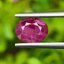 พลอย ทับทิม พม่า (Burmese Ruby Sapphire) 1.74 กะรัต พลอยแท้ อัญมณีมงคลประจําวันเกิด เครื่องประดับพลอย
